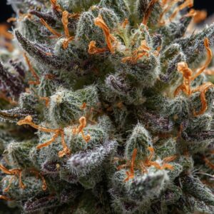 White Widow